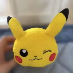 ピカチュウ ポーチ ファスナー付き
