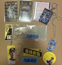 Item thumbnail for item 3aad2584-4e26-456d-85ff-8dcc01b2e1b0