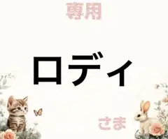 専用