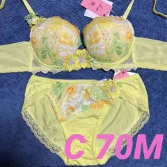 【C70M】ワコール❤︎ルジェ ハッピーFITブラ&ショーツ YE