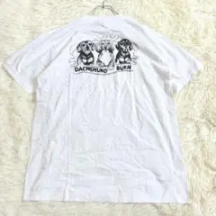 6592 半袖Tシャツ L コットン100% 犬モチーフ ダックスフント 綿素材
