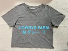 LOWRYS FARM M グレー Tシャツ ポケット付き