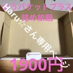 ゆうパケットプラス 詰め放題 まとめ売り