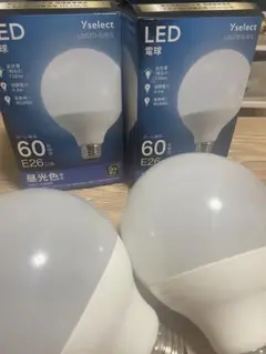 Yselect LED電球 LDG7D-G/E/L 730lm E26