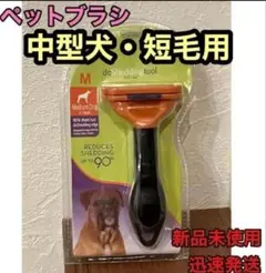 Item thumbnail for item 14603fa4-e844-47b7-9a16-a3a5980ab6de