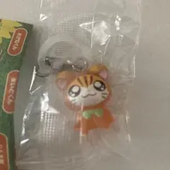 とっとこハム太郎　めじるしアクセサリー　トラハムちゃん　未開封