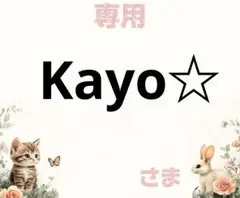 専用