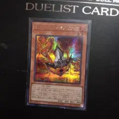 遊戯王　サラマングレイト・オブ・ファイア　シークレットレア