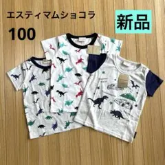 【新品】エスティマムショコラ　半袖Tシャツ3枚セット100cm 恐竜　男の子