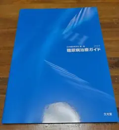 糖尿病治療ガイド2024