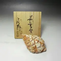 柴左近　　　338) 抹茶椀(2) 萩焼 松林庵 玉村 登陽 作 柴左近様専用 338) 抹茶椀(2) 萩焼 松林庵 玉村 登陽 作 - メルカリ