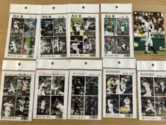 【未開封商品】元阪神タイガース 鳥谷敬　虎フォトまとめ