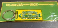 【訳あり品】　B'z LIVE GYM 2002 GREEN キーホルダー