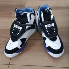 Item thumbnail for item 84cb56db-33c7-4792-8809-2aef30d6324a