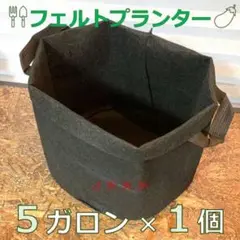 フェルトプランター/5ガロン(1個)園芸 ガーデニング 農具 黒