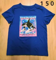 新品　オルカレロオルカラ　イタリアンブレインロット　Tシャツ　150