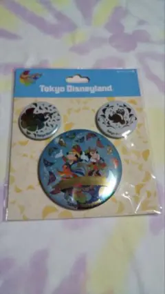 ディズニーランド　ハーモニーインカラー　カンバッジ TDL