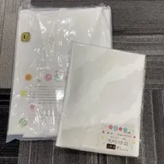 Item thumbnail for item b133453a-28ae-40f7-93be-23381064e55e