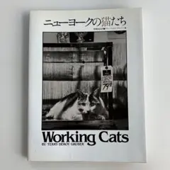 ニューヨークの猫たち　テリー ドゥロイ グルーバー