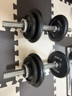 20kg ダンベルプレート 2個セット