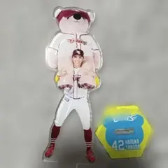 楽天イーグルス　Eコレ　山田遥楓