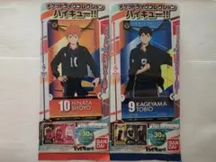 ハイキュー!!チケットライクコレクション