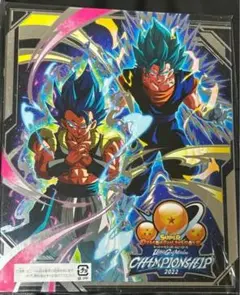 スーパードラゴンボールヒーローズ　チャンピオンシップ2023 バインダー スーパードラゴンボールヒーローズ チャンピオンシップ2023