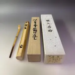 真作/華厳宗の僧侶/東大寺管長/平岡定海/松樹千年/掛軸/名家伝来/AE-38 真作/華厳宗の僧侶/東大寺管長/平岡定海/松樹千年/掛軸/名家伝来