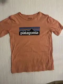 patagonia Tシャツ