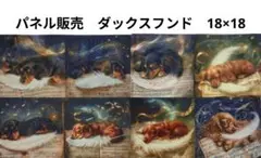 パネル　　8枚綴　　ダックスパネル　ダックスフンド