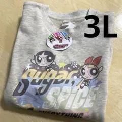 新品　大きいサイズキャラクター♡パワーパフガールズ♡スウェットトレーナー