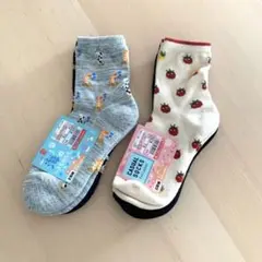 Item thumbnail for item 881636d3-b789-4e54-b3b8-e1d6f81d68a3