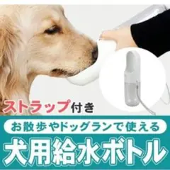 新商品!! 犬用ウォーターボトル お皿不要 そのまま飲める 水分補給