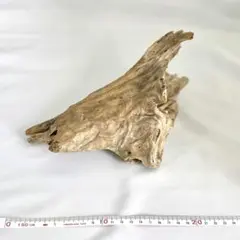 流木 自然な形状 木の素材