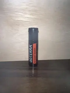 ミッキー様専用