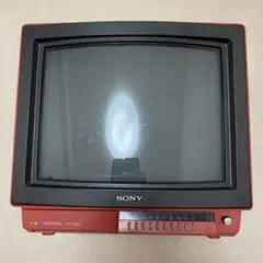2025年最新】テレビ KV-28の人気アイテム - メルカリ