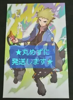 【非売品】ポケットモンスター ポケモン リーリエ アローラ御三家 クリアポスター 非売品】ポケットモンスター ポケモン リーリエ アローラ御三家