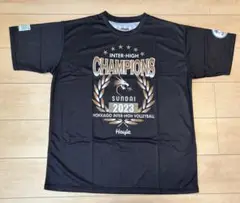 Item thumbnail for item c02c9801-3ce3-45d5-9015-f04272483632