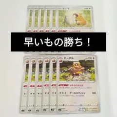 ビーダル系統　6まいずつ　12枚セット