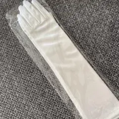 Item thumbnail for item 99dfaf4f-5442-4235-ae0d-3529aac64f17