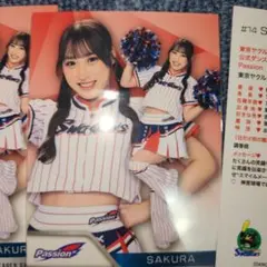 Item thumbnail for item 53410d5a-9c46-4794-880f-736c70f4f5cf