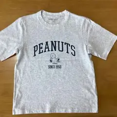 PEANUTS スヌーピー 半袖Tシャツ　UNIQLO　試着のみ