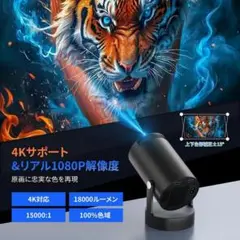 Item thumbnail for item f8c4298e-5c5a-41c1-81ee-43b53a84473e