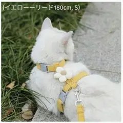 Item thumbnail for item 31705cde-2ede-441d-918f-4936f127803e