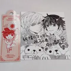 純情ロマンチカ 第30巻 小冊子付き特装版　特典のみ