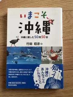 ♡美品♡いまこそ沖縄　ガイドブック
