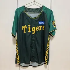 阪神タイガース　ウル虎の夏　2024