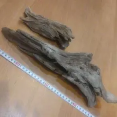 穴あき流木2本No.39