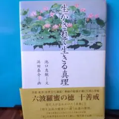 浜田泰介、【富士と桜】、希少な額装用画集より、状態良好、新品額装付 Yahoo!オークション - 浜田泰介 【夜桜図】 希少画集画より 状態