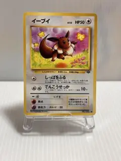 旧裏　イーブイ ● 第2弾拡張パック ポケモンジャングル
